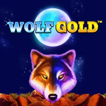 สล็อต888 pg WolfGold